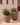 Areca round plant pot - 19