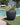 Areca round plant pot - 23