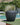Areca round plant pot - 25