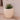 Areca round plant pot - 29
