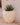 Areca round plant pot - 29