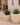 Areca round plant pot - 30