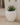 Areca round plant pot - 33