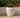 Areca round plant pot - 34