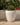 Areca round plant pot - 34