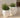 Areca round plant pot - 36