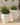 Areca round plant pot - 36
