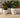 Areca round plant pot - 37