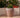 Areca round plant pot - 40
