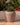Areca round plant pot - 40