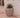 Areca round plant pot - 41