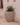 Areca round plant pot - 41