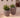 Areca round plant pot - 42