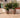 Areca round plant pot - 43