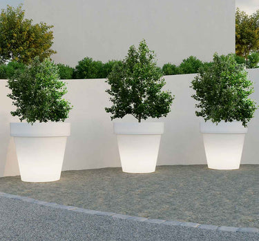 Large MAGNOLIA 80CM lighted planter