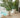 MAGNOLIA round plant pot