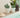 MAGNOLIA round plant pot