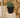 MAGNOLIA round plant pot