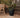MAGNOLIA round plant pot