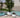 Dalia round plant pot