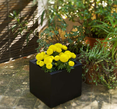 NARCISO 35 SQUARE FLOWER POT