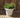 Rustic round plant pot ROSA