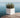 Narciso square plant pot