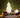 PINUS CHRISTMAS TREE