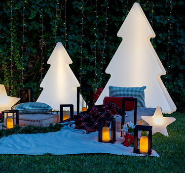 PINUS 100 CHRISTMAS TREE