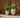 Aloe round plant pot