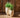 Aloe round plant pot