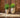 Aloe round plant pot