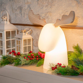 RUDY LIGHT-UP REINDEER
