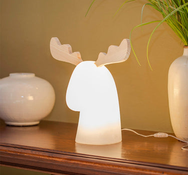 RUDY ILLUMINATED REINDEER | INDOOR USE