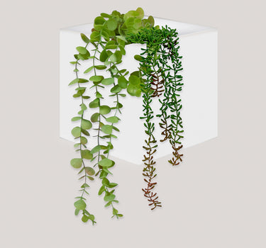 Wally Pot Wall-mounted plant pot