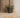CALENDULA 50 RUSTIC SQUARE FLOWER POT