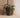 CALENDULA 50 RUSTIC SQUARE FLOWER POT