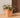 CALENDULA 50 RUSTIC SQUARE FLOWER POT