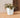 CALENDULA 50 RUSTIC SQUARE FLOWER POT