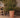 Gerbera round plant pot