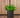 Hortensia round plant pot
