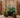 Hortensia round plant pot
