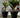 MAGNOLIA round plant pot