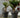 MAGNOLIA round plant pot