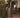 Palma tall round plant pot