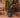Petunia round plant pot