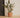 Petunia round plant pot