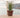 Rustic round plant pot ROSA