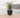 Rustic round plant pot ROSA