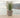 Rustic round plant pot ROSA